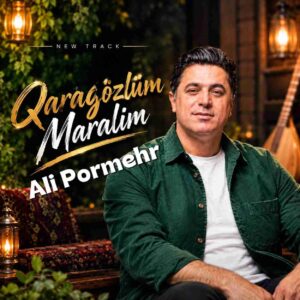 دانلود آهنگ علی پرمهر ️قارا گوزلوم دانلود آهنگ علی پرمهر ️قارا گوزلوم